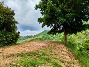 24.7-Acre Ocean View Property in San Cristóbal de Aguirre Near Quepos – 201313 (8)