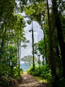 24.7-Acre Ocean View Property in San Cristóbal de Aguirre Near Quepos – 201313 (9)