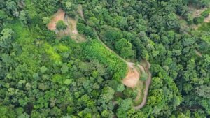 25-Acre Development Land with Building Pads in Uvita – 200204 (10)