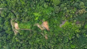 25-Acre Development Land with Building Pads in Uvita – 200204 (21)