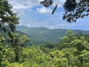 25-Acre Development Land with Building Pads in Uvita – 200204 (4)