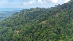 25-Acre Development Land with Building Pads in Uvita – 200204 (8)