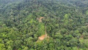 25-Acre Development Land with Building Pads in Uvita – 200204 (9)