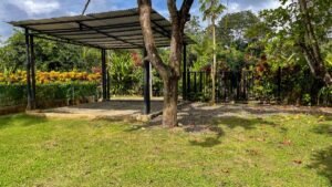 4580 Property For Sale in Bahia 05