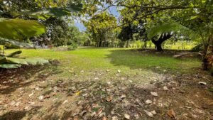4580 Property For Sale in Bahia 07