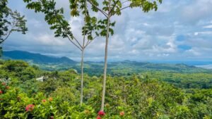 4584 – Tucan Tango House, Ojochal 20