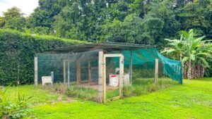 4587 – Ph 5 Lot House 2 Bedroom 25