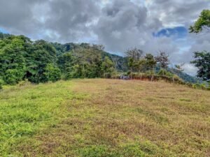 59 Acres for Sale Near Dominical Ocean Views & Building Sites – 199297 (11)