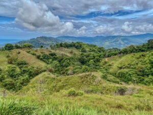 59 Acres for Sale Near Dominical Ocean Views & Building Sites – 199297 (12)