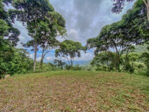 59 Acres for Sale Near Dominical Ocean Views & Building Sites – 199297 (13)