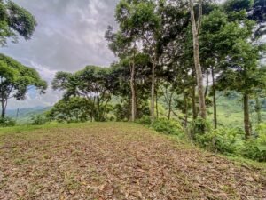 59 Acres for Sale Near Dominical Ocean Views & Building Sites – 199297 (14)