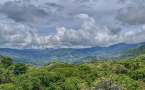 59 Acres for Sale Near Dominical Ocean Views & Building Sites – 199297 (20)