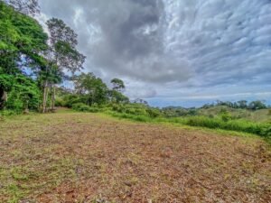 59 Acres for Sale Near Dominical Ocean Views & Building Sites – 199297 (21)