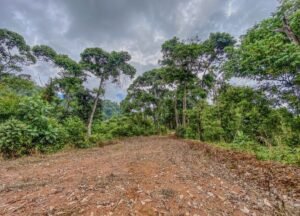 59 Acres for Sale Near Dominical Ocean Views & Building Sites – 199297 (22)