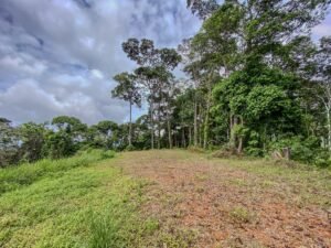 59 Acres for Sale Near Dominical Ocean Views & Building Sites – 199297 (23)