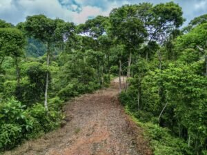 59 Acres for Sale Near Dominical Ocean Views & Building Sites – 199297 (24)