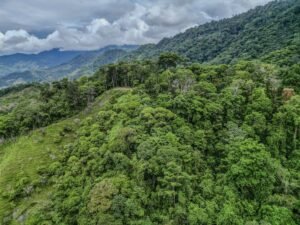 59 Acres for Sale Near Dominical Ocean Views & Building Sites – 199297 (25)