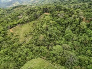 59 Acres for Sale Near Dominical Ocean Views & Building Sites – 199297 (27)