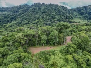 59 Acres for Sale Near Dominical Ocean Views & Building Sites – 199297 (3)