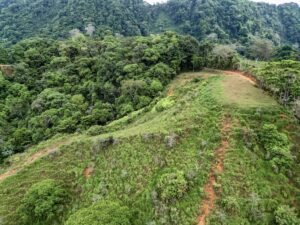 59 Acres for Sale Near Dominical Ocean Views & Building Sites – 199297 (4)