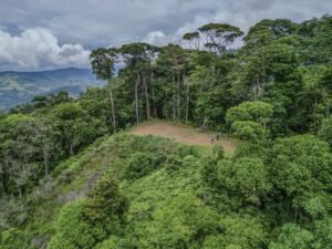 59 Acres for Sale Near Dominical Ocean Views & Building Sites – 199297 (7)