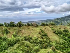 59 Acres for Sale Near Dominical Ocean Views & Building Sites – 199297 (8)