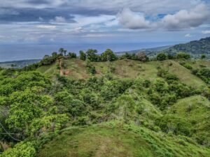 59 Acres for Sale Near Dominical Ocean Views & Building Sites – 199297 (9)