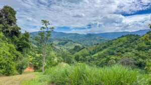 60+ Hectare Mountain Estate for Sale in Platanillo Costa Rica – 201167 (10)