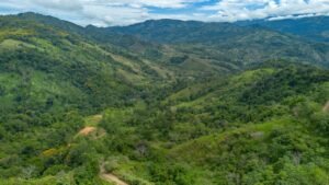 60+ Hectare Mountain Estate for Sale in Platanillo Costa Rica – 201167 (12)