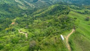 60+ Hectare Mountain Estate for Sale in Platanillo Costa Rica – 201167 (13)