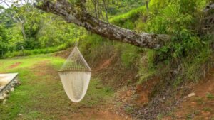 60+ Hectare Mountain Estate for Sale in Platanillo Costa Rica – 201167 (14)