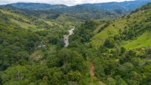 60+ Hectare Mountain Estate for Sale in Platanillo Costa Rica – 201167 (16)