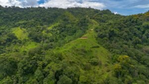 60+ Hectare Mountain Estate for Sale in Platanillo Costa Rica – 201167 (17)