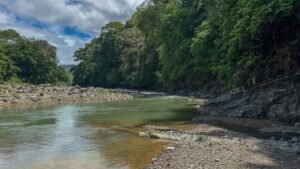 60+ Hectare Mountain Estate for Sale in Platanillo Costa Rica – 201167 (18)