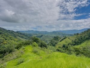 60+ Hectare Mountain Estate for Sale in Platanillo Costa Rica – 201167 (22)