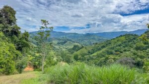 60+ Hectare Mountain Estate for Sale in Platanillo Costa Rica – 201167 (23)