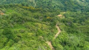 60+ Hectare Mountain Estate for Sale in Platanillo Costa Rica – 201167 (24)