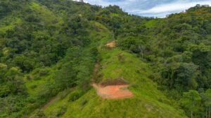 60+ Hectare Mountain Estate for Sale in Platanillo Costa Rica – 201167 (26)