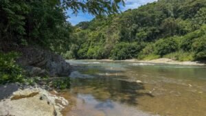 60+ Hectare Mountain Estate for Sale in Platanillo Costa Rica – 201167 (27)