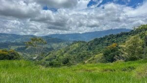 60+ Hectare Mountain Estate for Sale in Platanillo Costa Rica – 201167 (30)