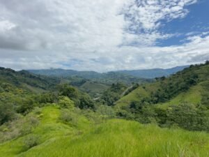 60+ Hectare Mountain Estate for Sale in Platanillo Costa Rica – 201167 (31)