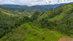 60+ Hectare Mountain Estate for Sale in Platanillo Costa Rica – 201167 (34)