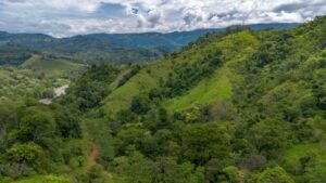 60+ Hectare Mountain Estate for Sale in Platanillo Costa Rica – 201167 (35)