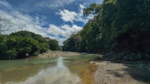 60+ Hectare Mountain Estate for Sale in Platanillo Costa Rica – 201167 (36)