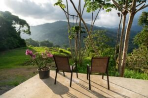 60+ Hectare Mountain Estate for Sale in Platanillo Costa Rica – 201167 (38)