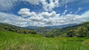 60+ Hectare Mountain Estate for Sale in Platanillo Costa Rica – 201167 (39)