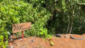 60+ Hectare Mountain Estate for Sale in Platanillo Costa Rica – 201167 (4)