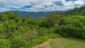 60+ Hectare Mountain Estate for Sale in Platanillo Costa Rica – 201167 (40)