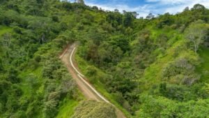 60+ Hectare Mountain Estate for Sale in Platanillo Costa Rica – 201167 (41)