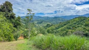60+ Hectare Mountain Estate for Sale in Platanillo Costa Rica – 201167 (43)